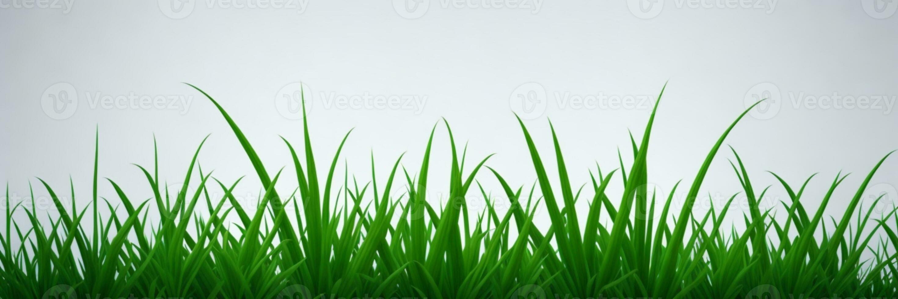 färsk vår grön gräs. ai genererad foto