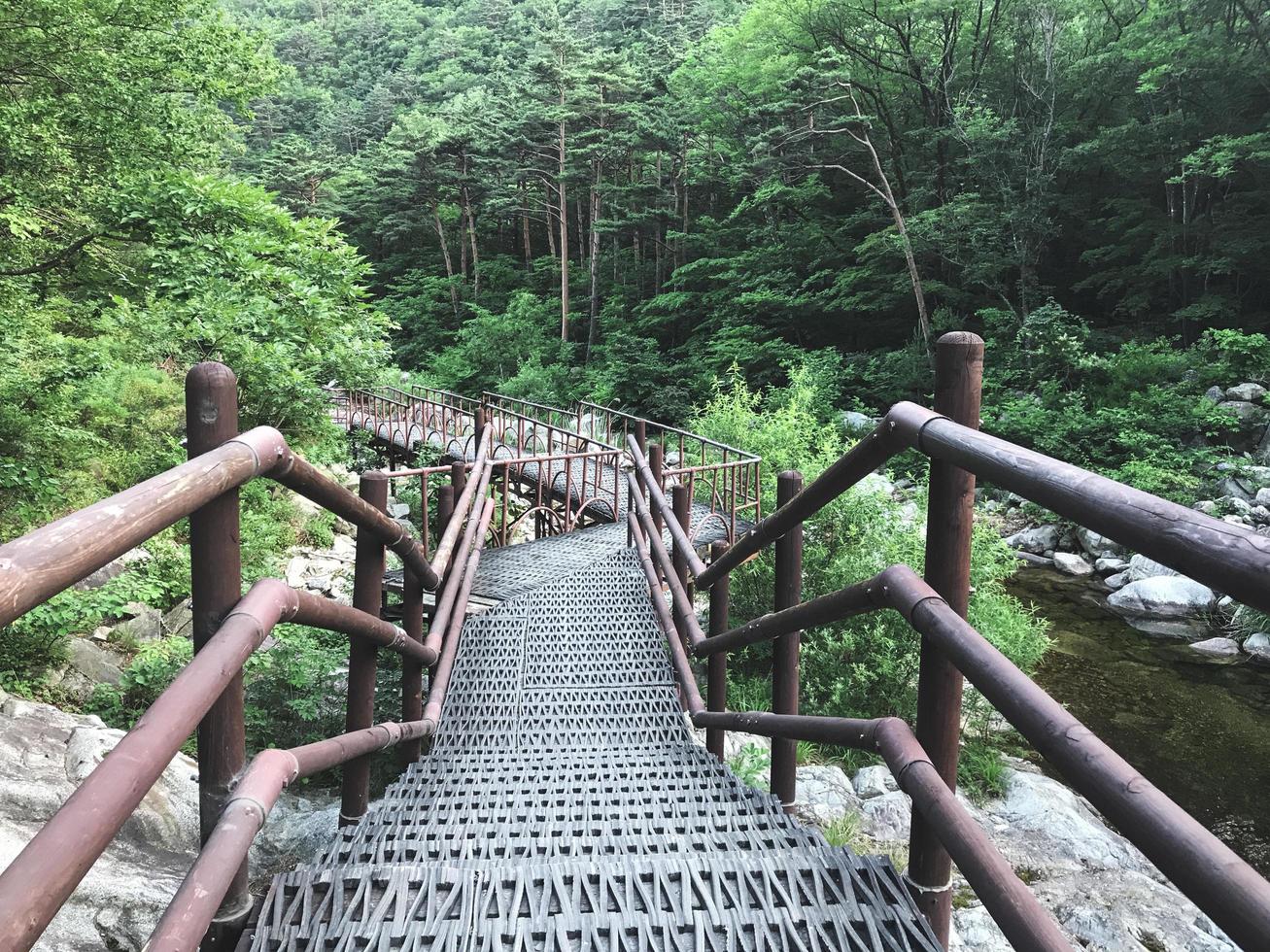 den lilla järnbron i Seoraksan nationalpark. Sydkorea foto