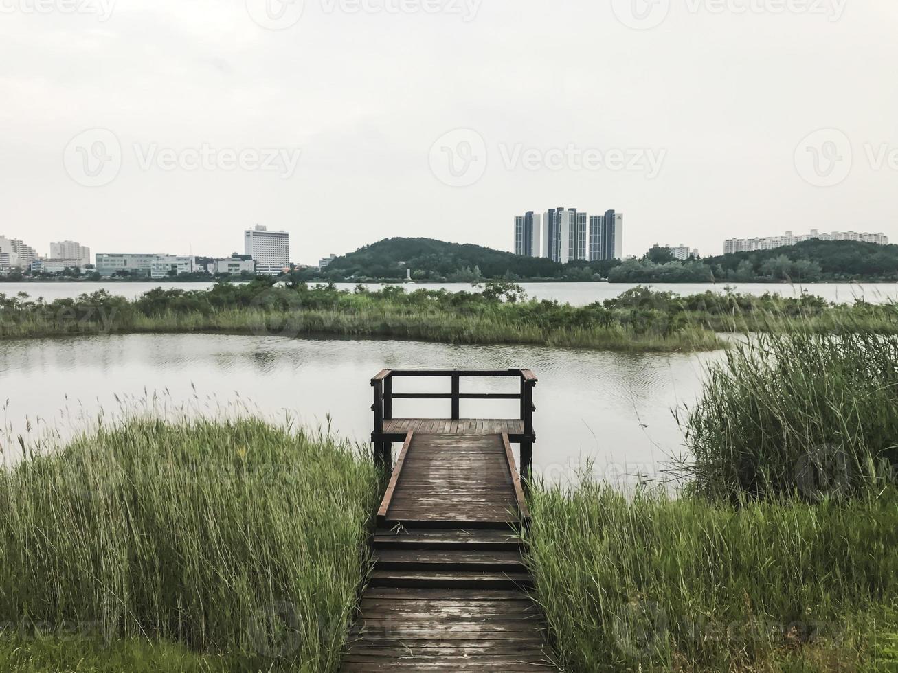 träbryggan bevuxen med vass vid sjön Sokcho City, Sydkorea foto