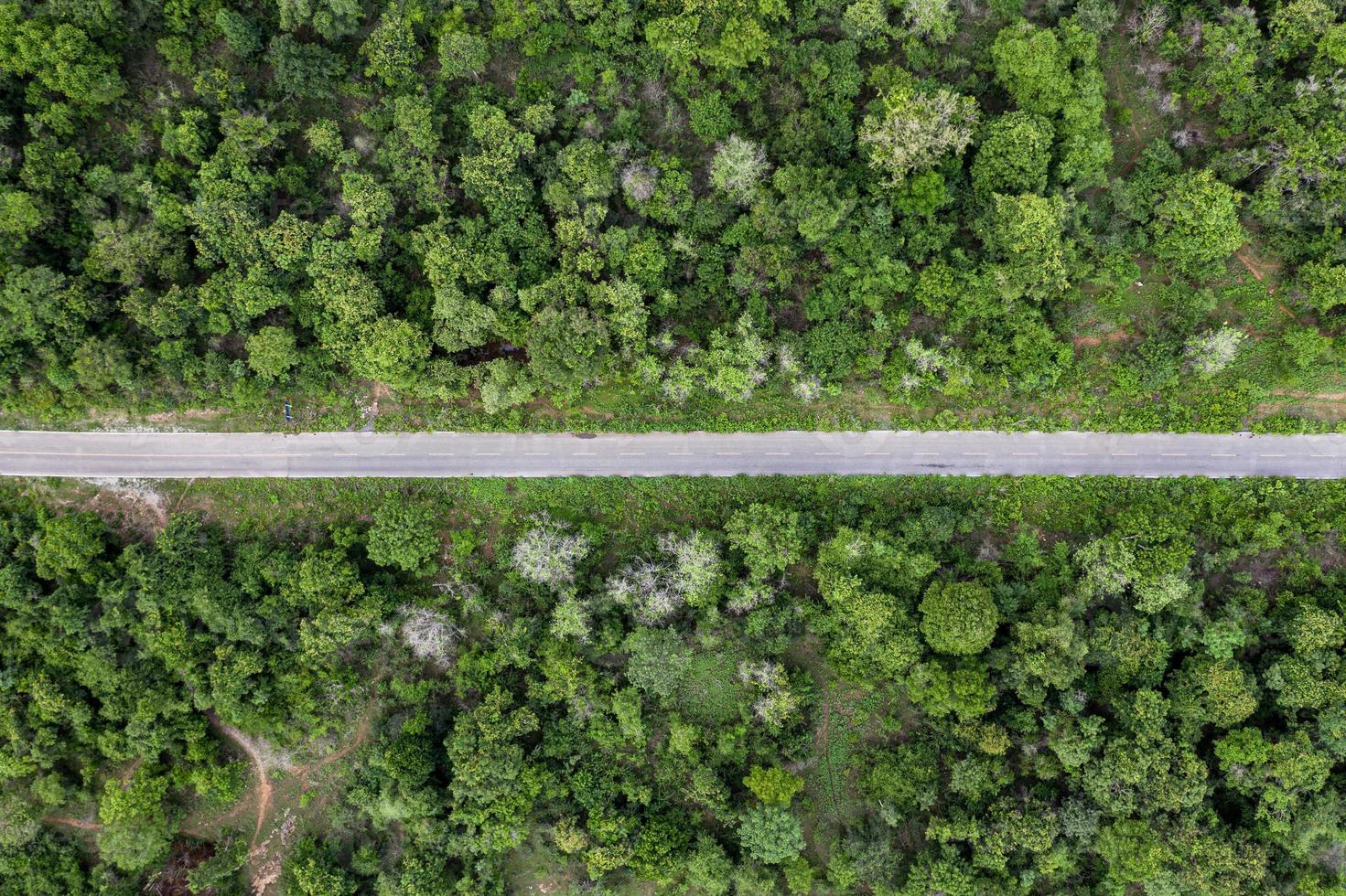 landskap av rak asfaltväg i tropisk regnskog foto