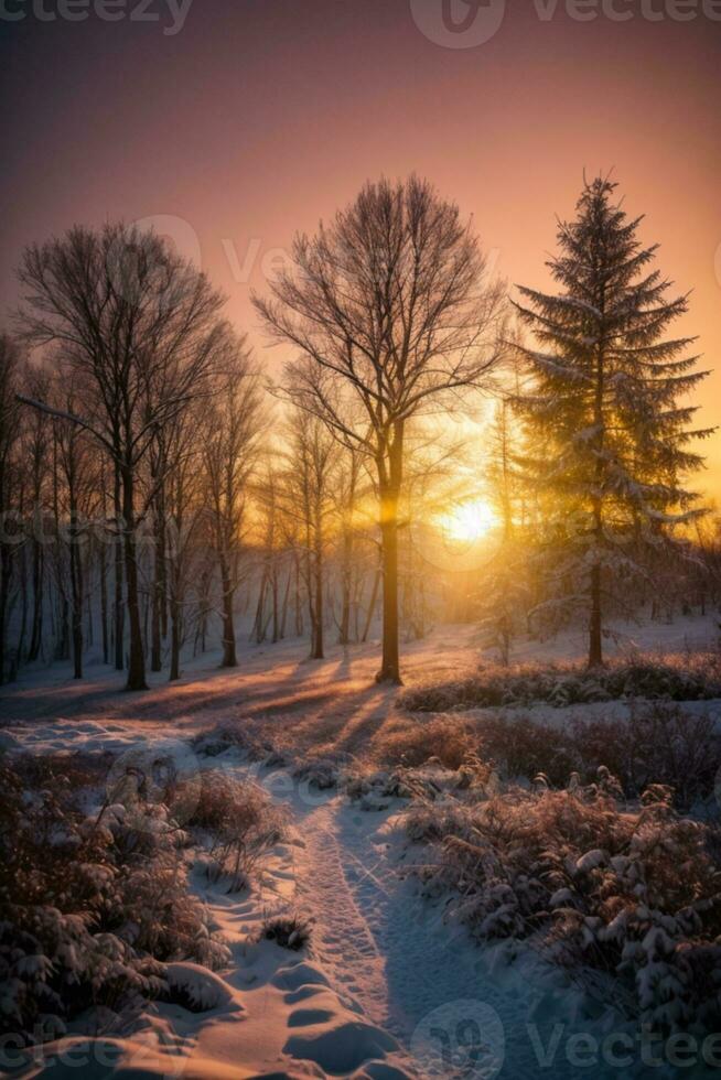 solnedgång i de trä i vinter- period. ai genererad foto