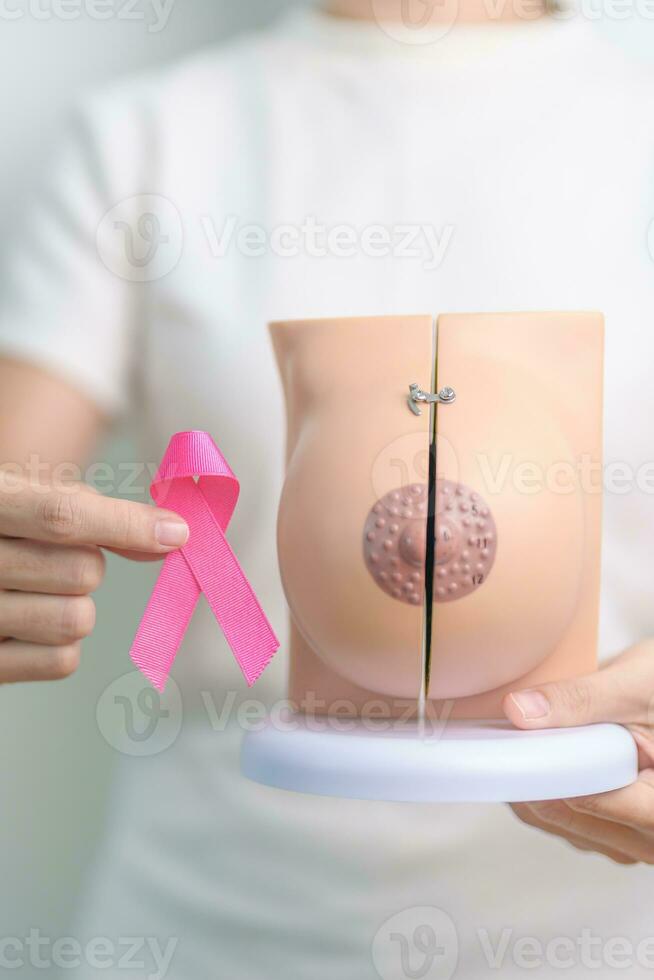 rosa oktober bröst cancer medvetenhet månad, kvinna med rosa band och bröst anatomi modell. nationell cancer överlevande månad, hälsa diagnos, mor och värld cancer dag begrepp foto