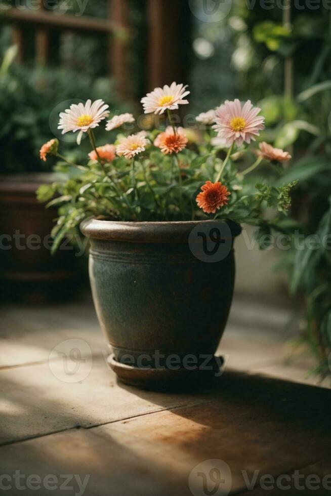 blomma natur trädgård botanik daisy blomma pott. ai genererad foto