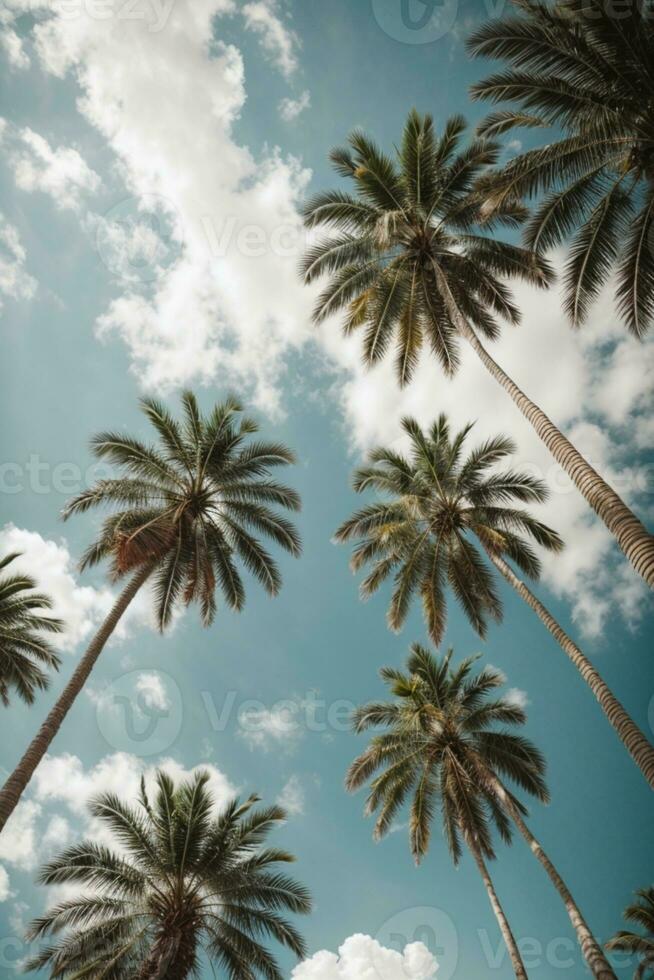 blå himmel och handflatan träd se från Nedan, årgång stil, tropisk strand och sommar bakgrund, resa begrepp. ai genererad foto