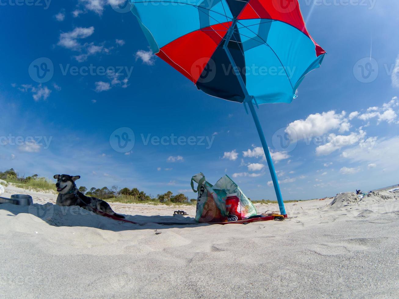 färgrikt paraply på solig dag på stranden foto