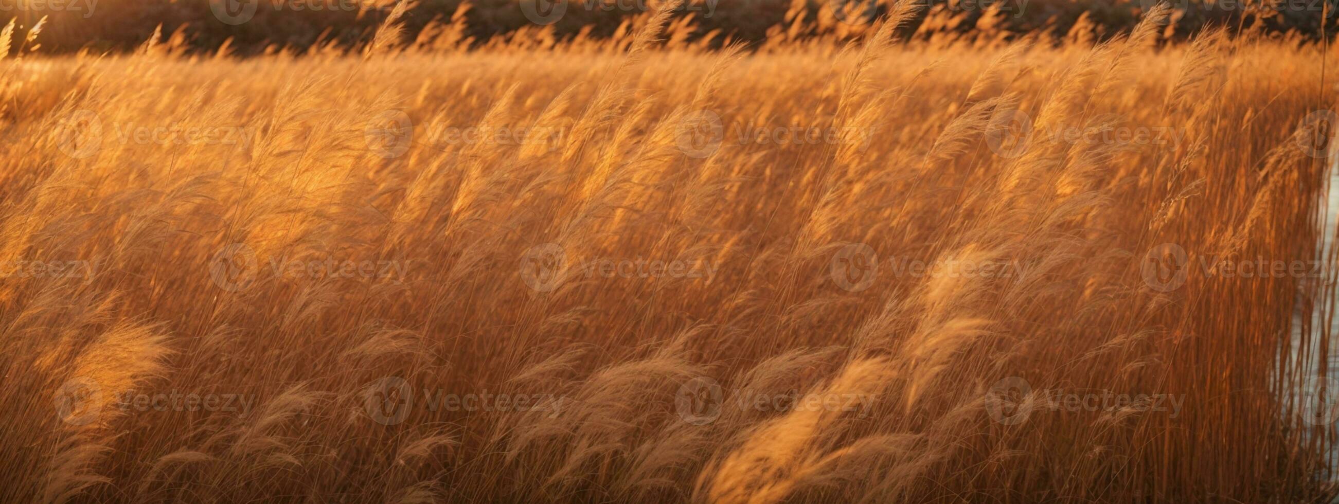 schilf. ai genererad foto