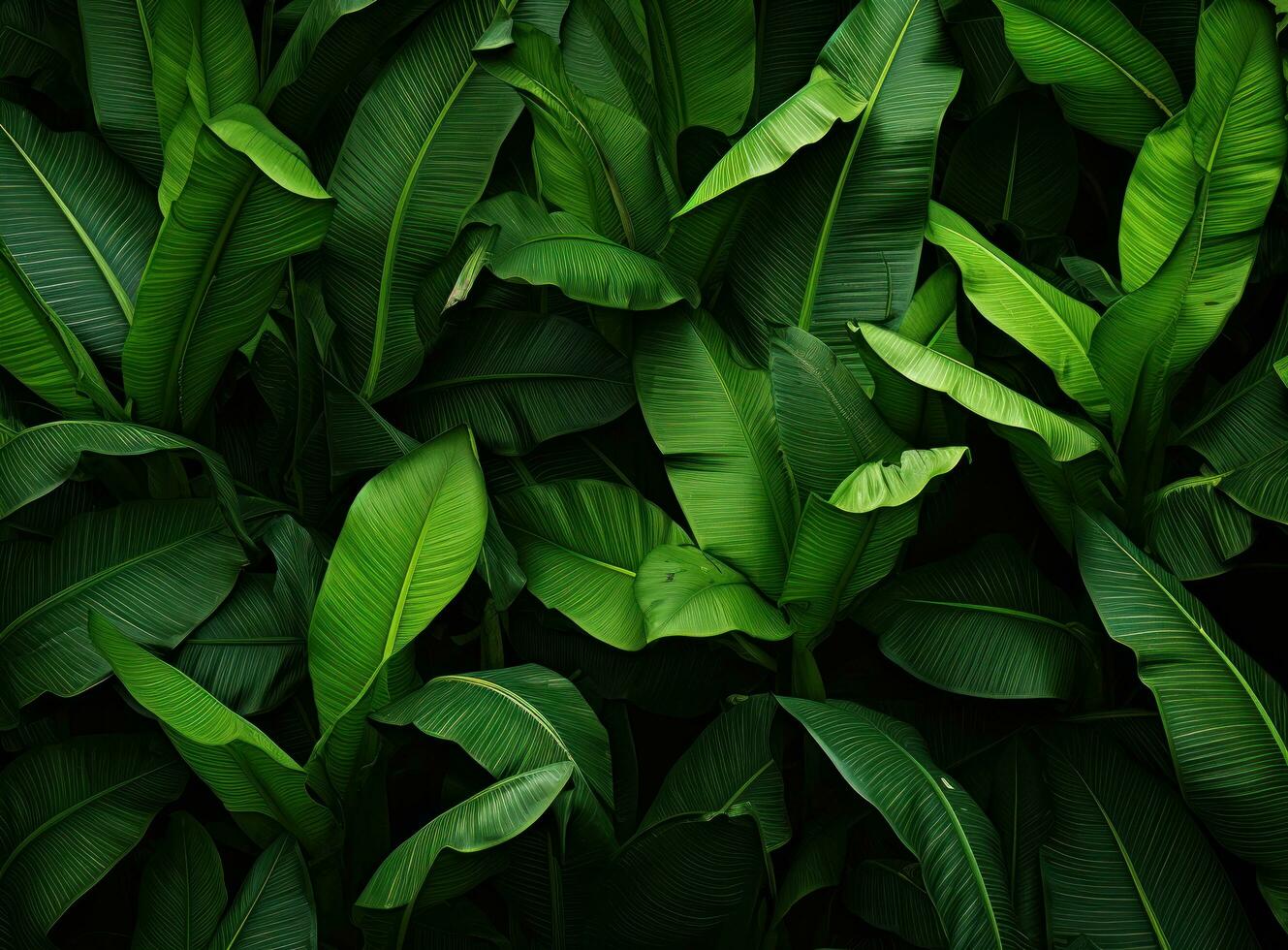 grön naturlig handflatan blad bakgrund foto