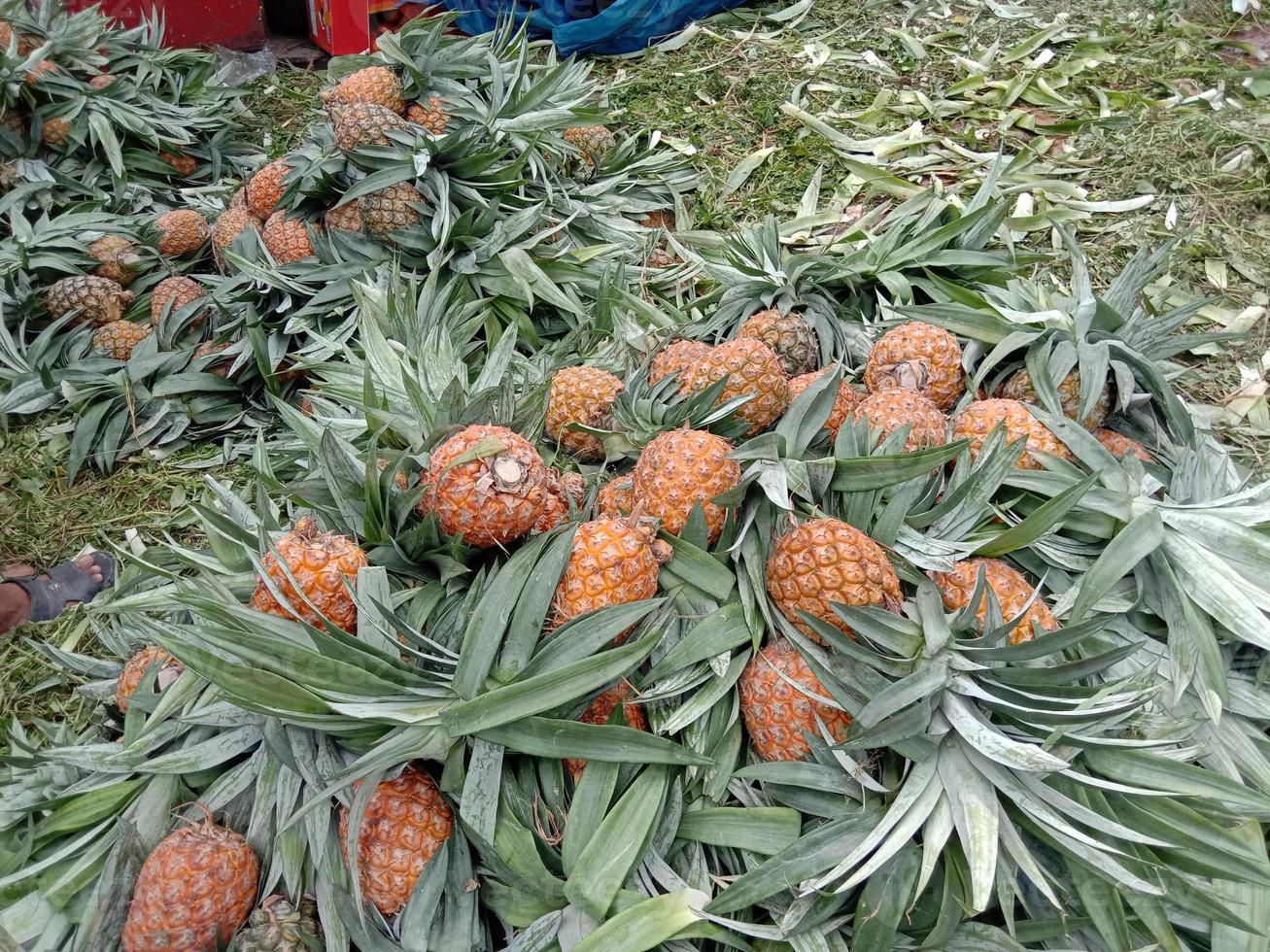 välsmakande och hälsosam orange färgad ananasstock foto
