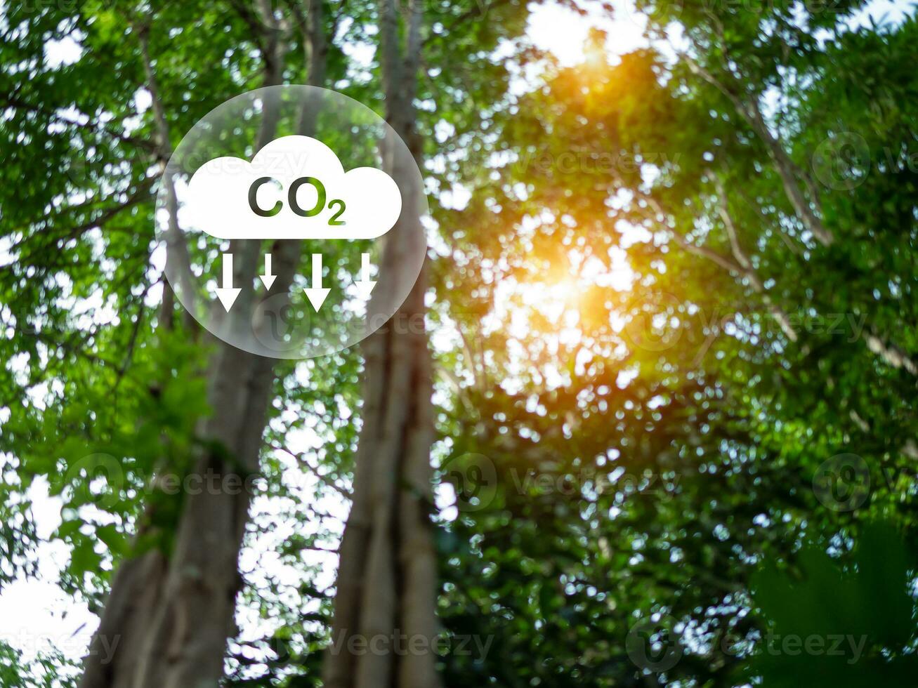 co2 utsläpp minskning begrepp, rena och vänlig miljö utan kol dioxid utsläpp. plantering träd till minska co2 utsläpp, miljö- skydd begrepp. foto