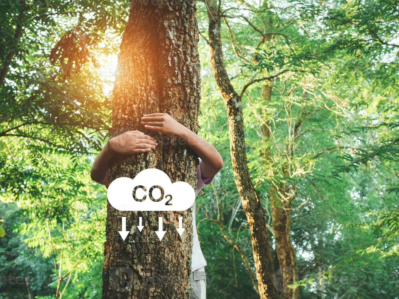 mänsklig händer är kramas en träd i kärlek. representerar portion till bevara de miljö. plantering träd till minska co2 utsläpp, miljö- skydd begrepp. foto
