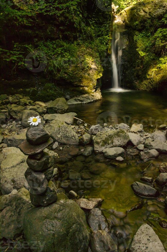 staplade stenar och blommor framför ett vattenfall i karpaterna som strömmar av en klyft huggen i sten och täckt av mossa foto