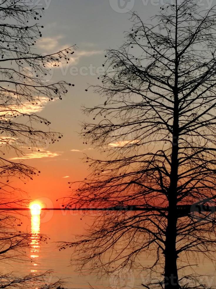 monticello reservoar i South Carolina vid solnedgången foto