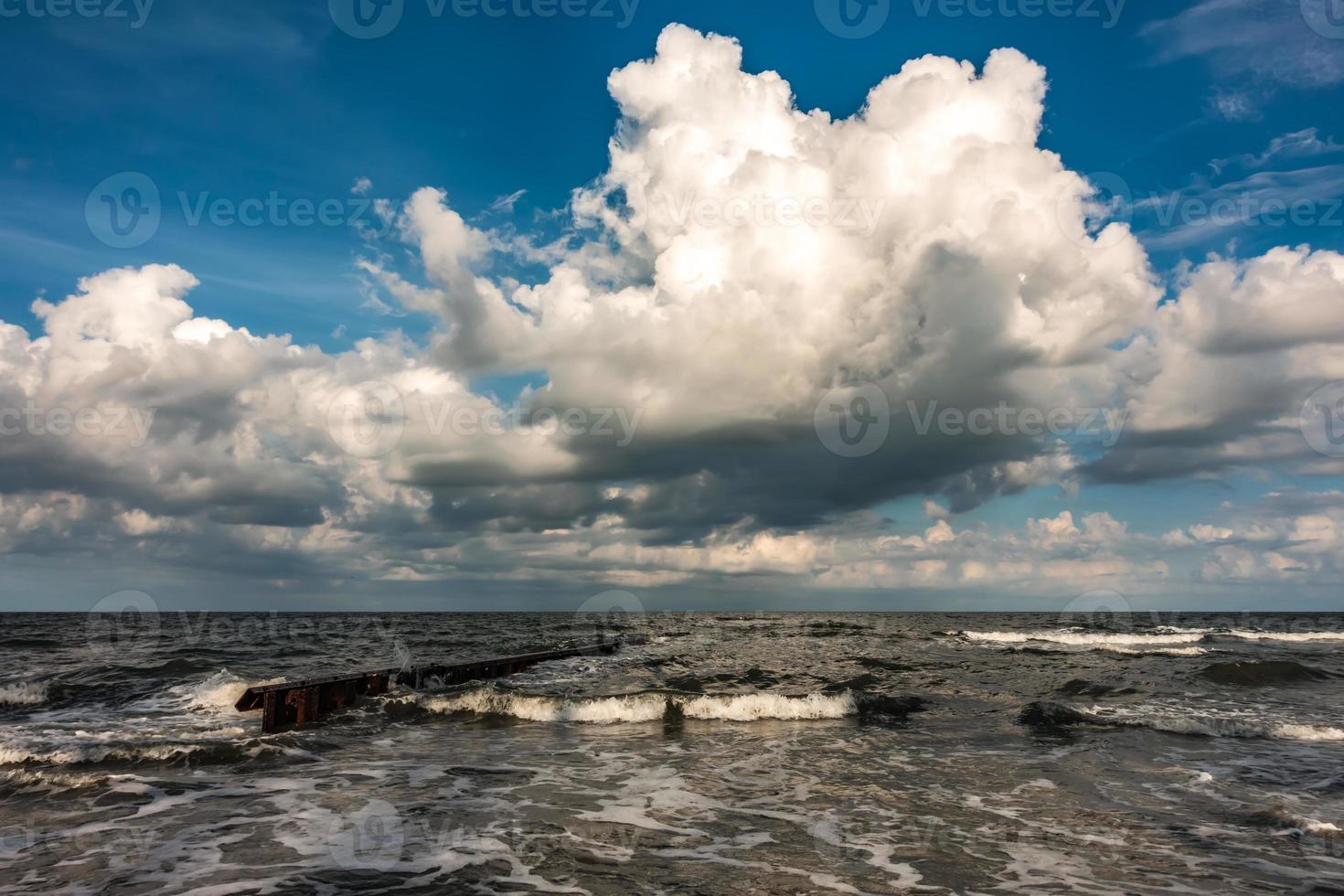 vacker jaktö South Carolina Beach foto