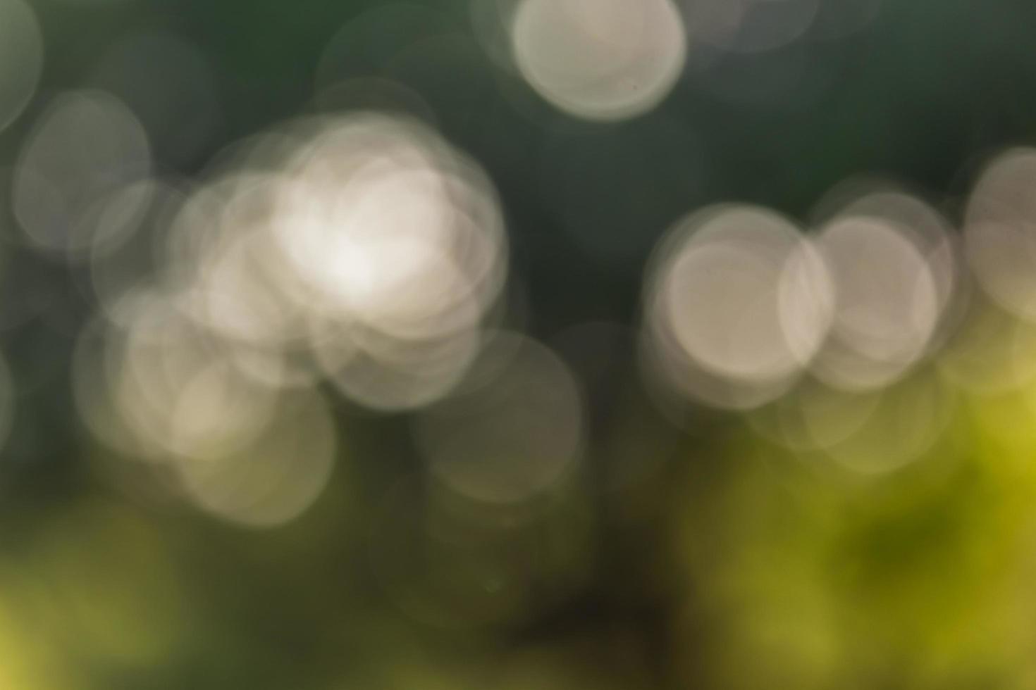 bokeh naturlig grön bakgrund foto