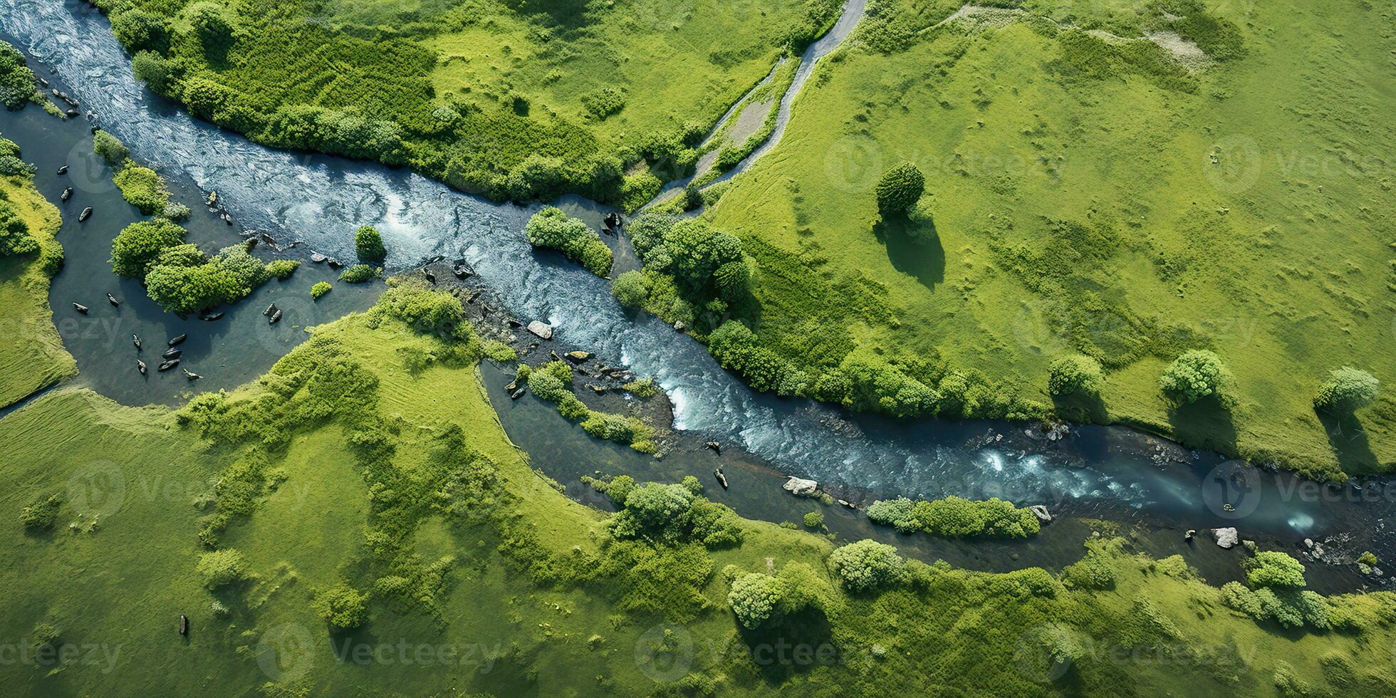 ai genererad. ai generativ. Fantastisk antenn Drönare se natur utomhus- skog fält äng med flod och fåglar i de himmel. grafisk konst foto