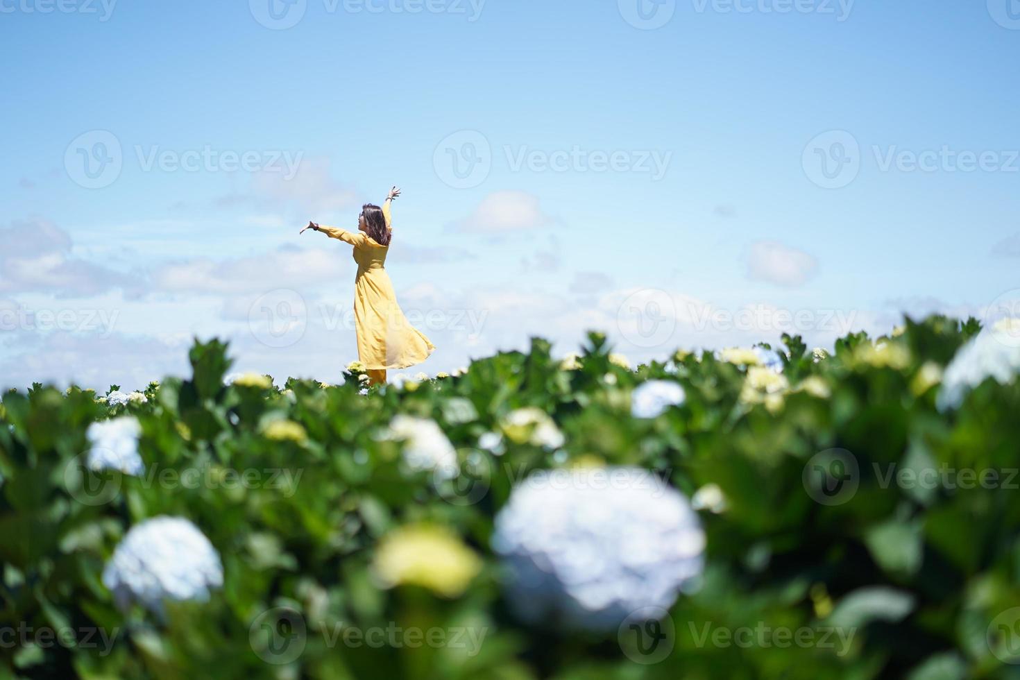 glad asiatisk kvinna håller handen i ett fält av hortensiablommor foto