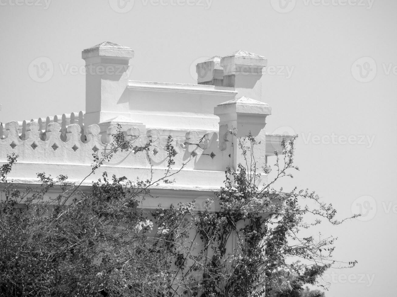 tunis stad i tunisien foto