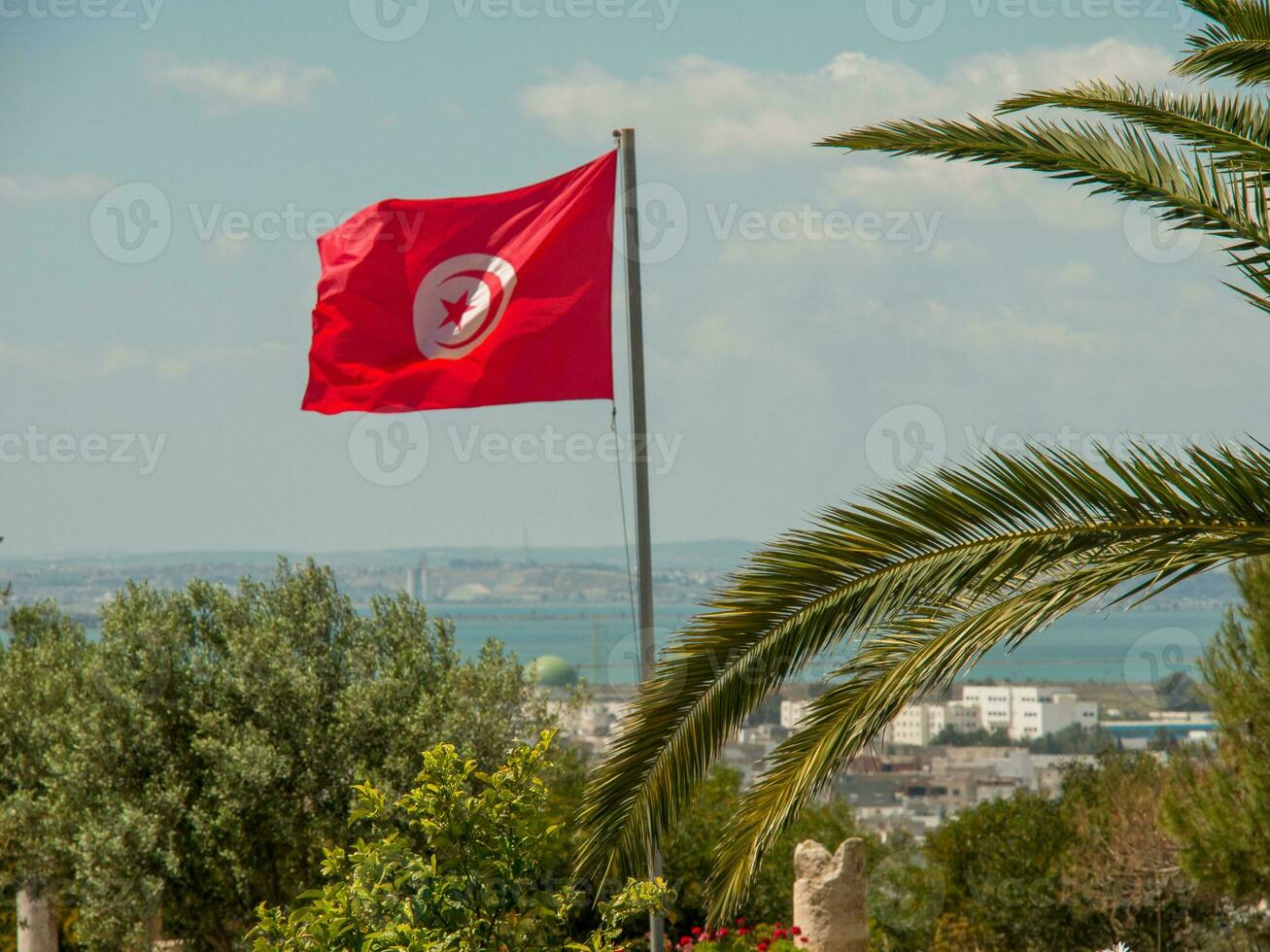 tunis stad i tunisien foto