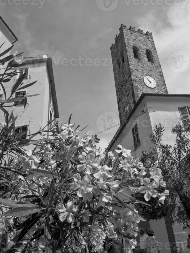 la specia i Italien foto