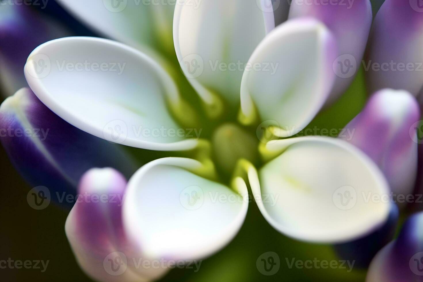 färsk lila blomma skön lila blommor. neuralt nätverk ai genererad foto