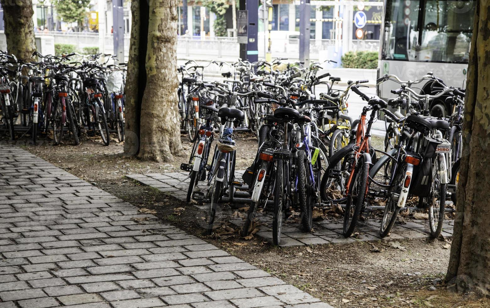 cyklar parkerade i Nederländerna foto