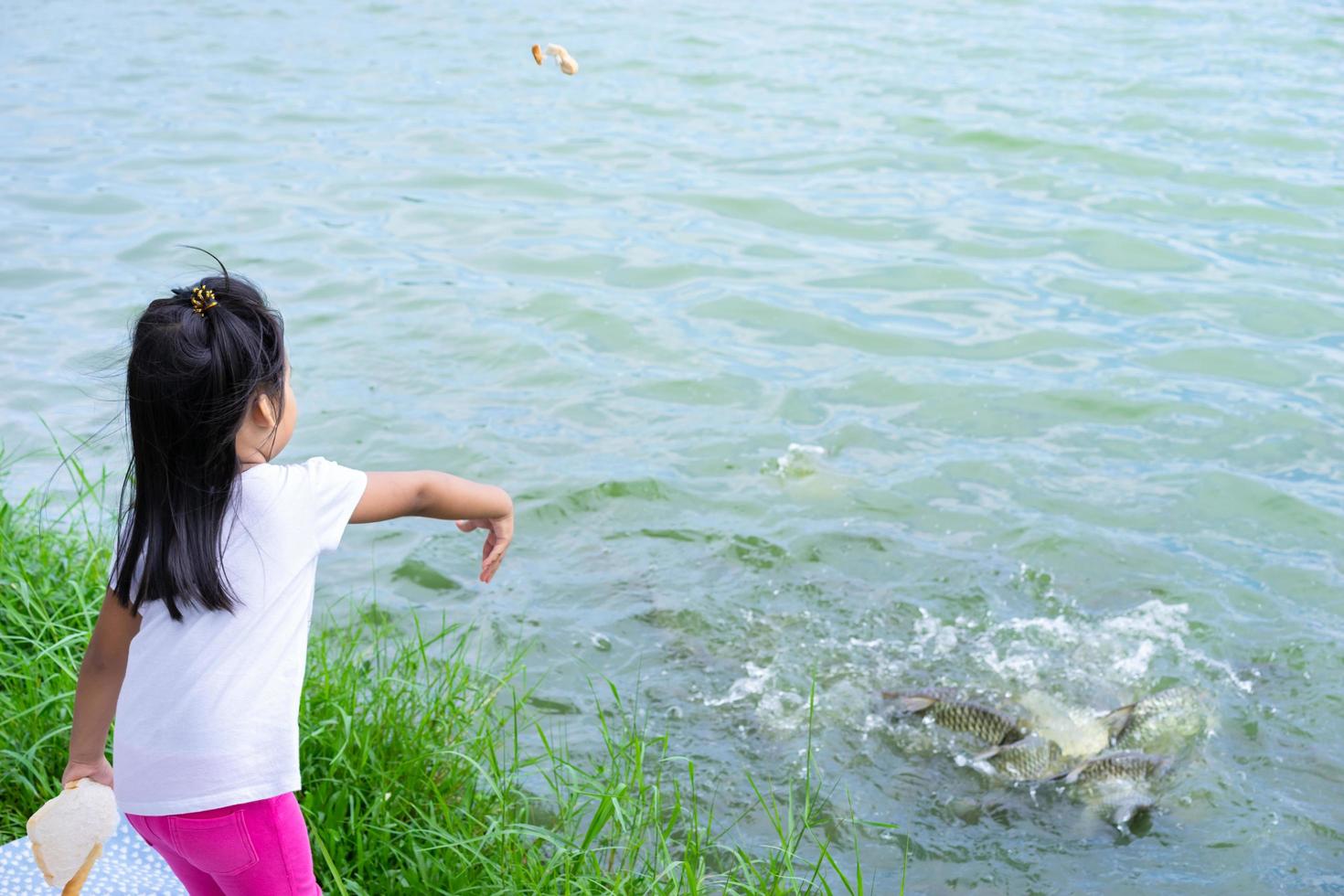 en liten flicka som matar fisk vid dammen i offentlig park foto