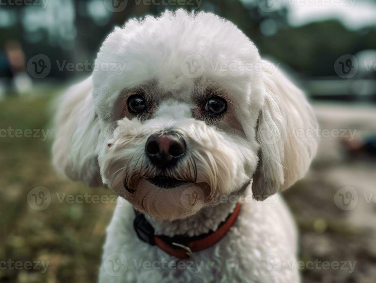bichon frysa hund skapas med generativ ai teknologi foto