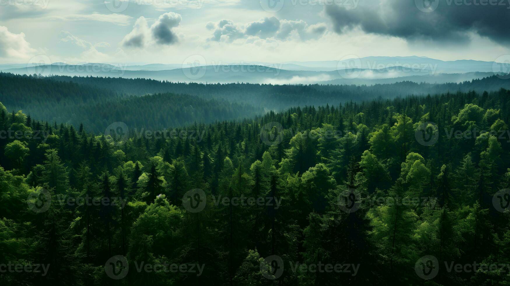 antenn perspektiv av dagtid skog - genererad ai se foto