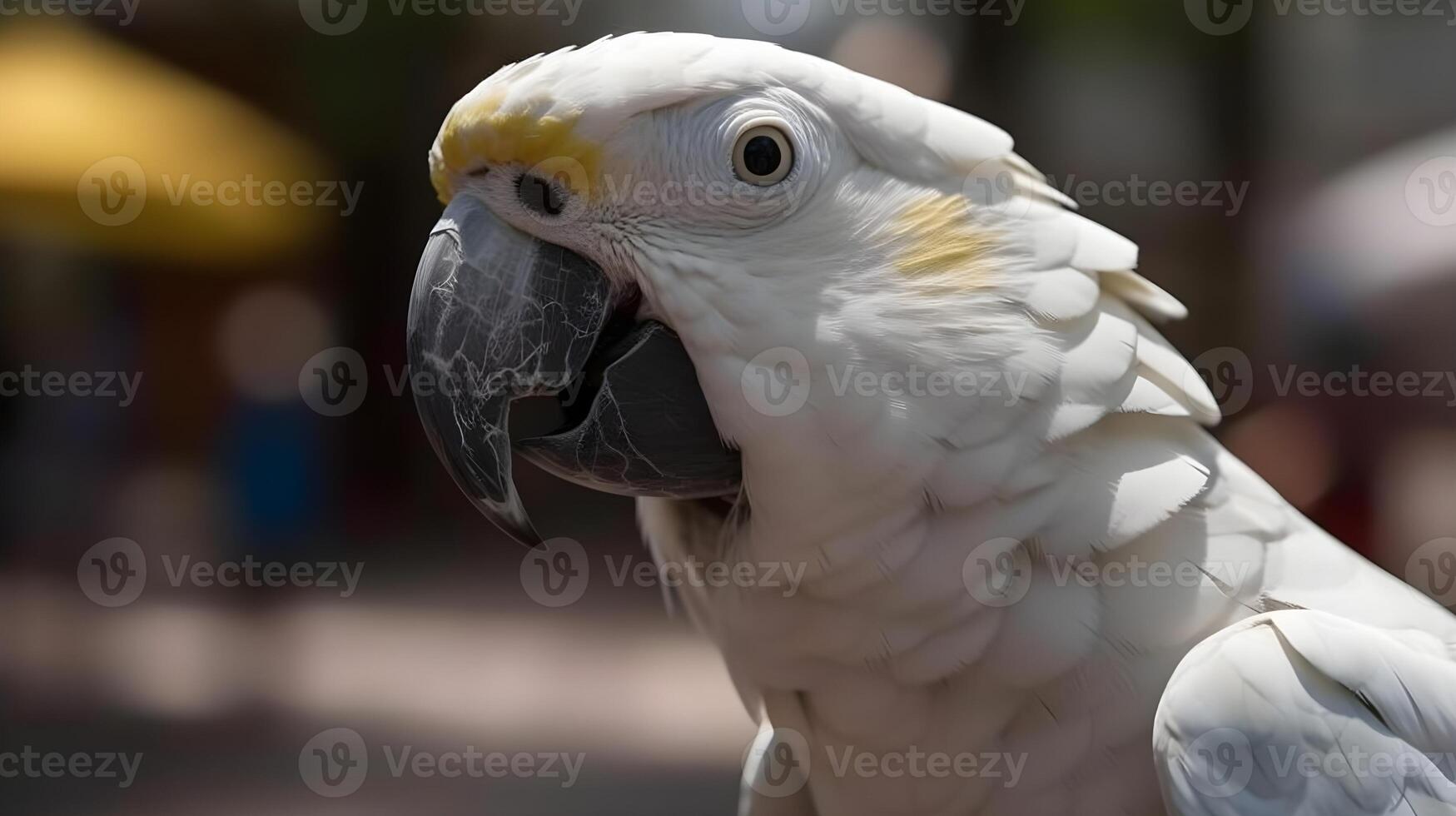 porträtt stänga upp vit kakadua gata bakgrund. ai genererad. foto