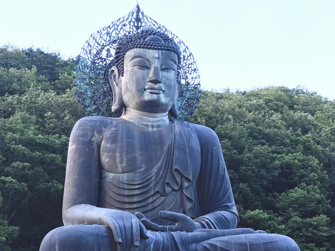 stor buddha staty vid Seoraksan National Park, Sydkorea foto