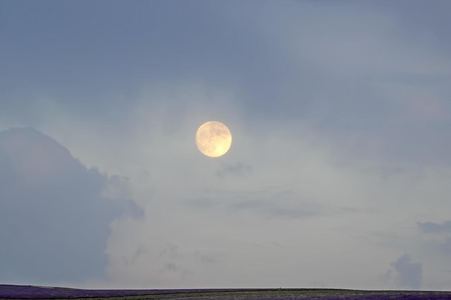 landskap med en stor måne över ett lavendelfält foto