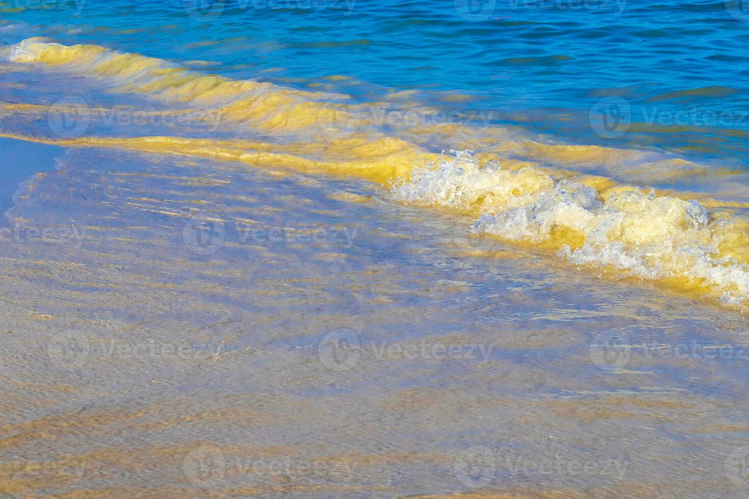 vågor på tropisk strand karibiska hav klar turkos vatten Mexiko. foto