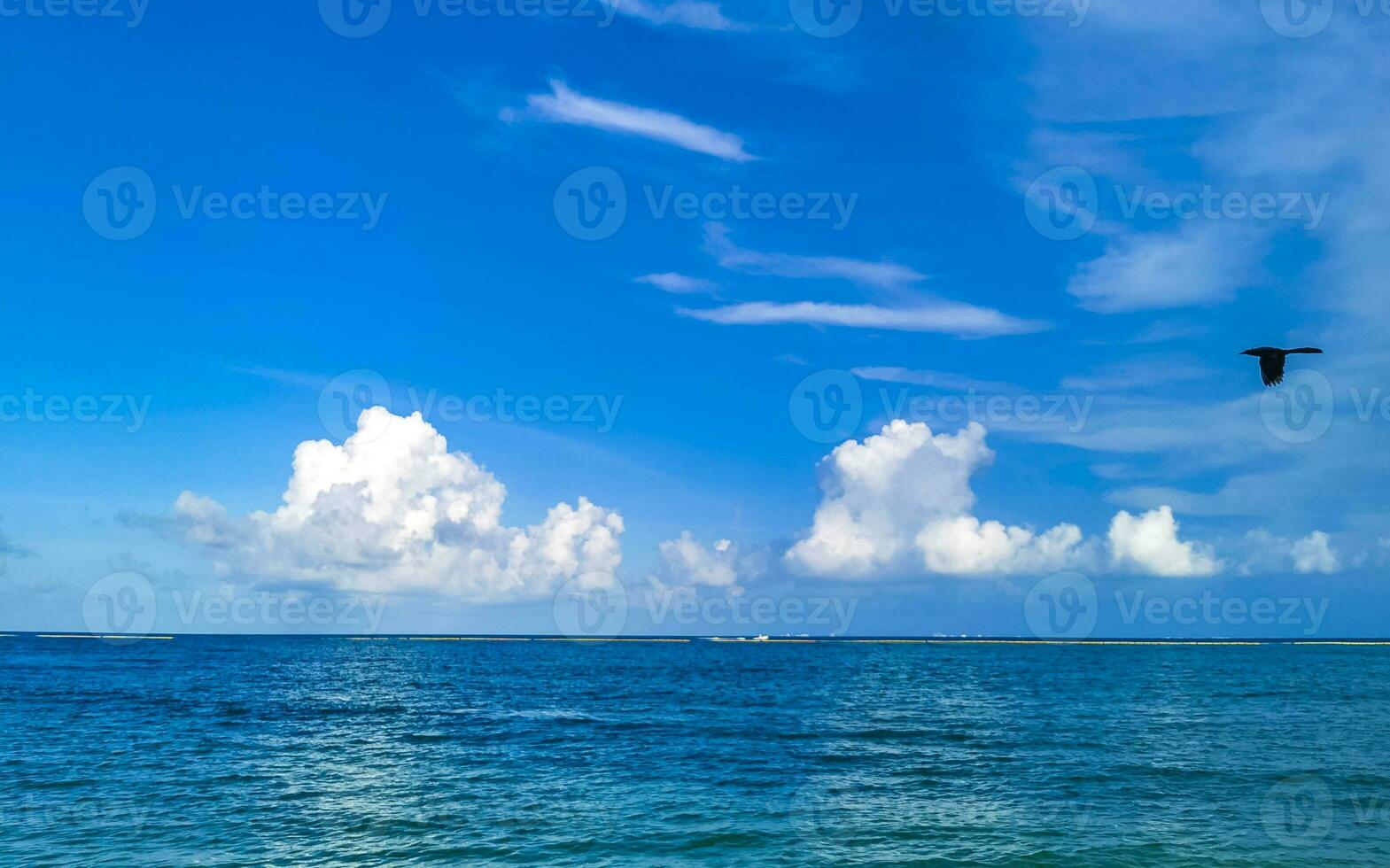 tropisk mexikansk strand klart turkost vatten playa del carmen mexico. foto