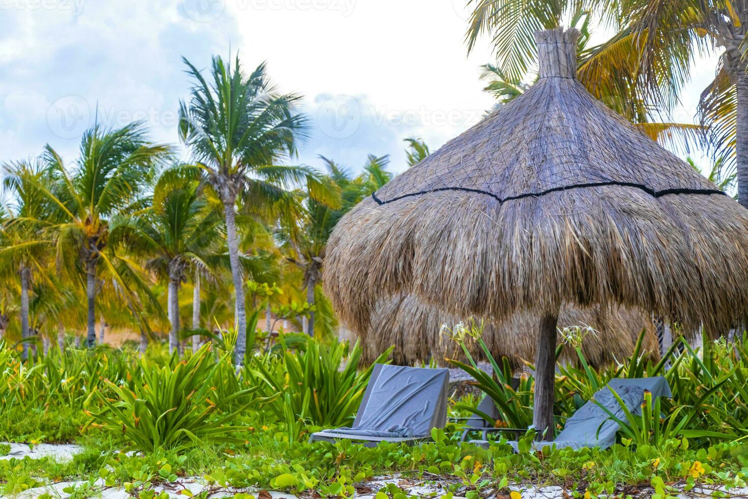 pALAPA halmtak tak palmer parasoller Sol solstolar strand tillflykt Mexiko. foto