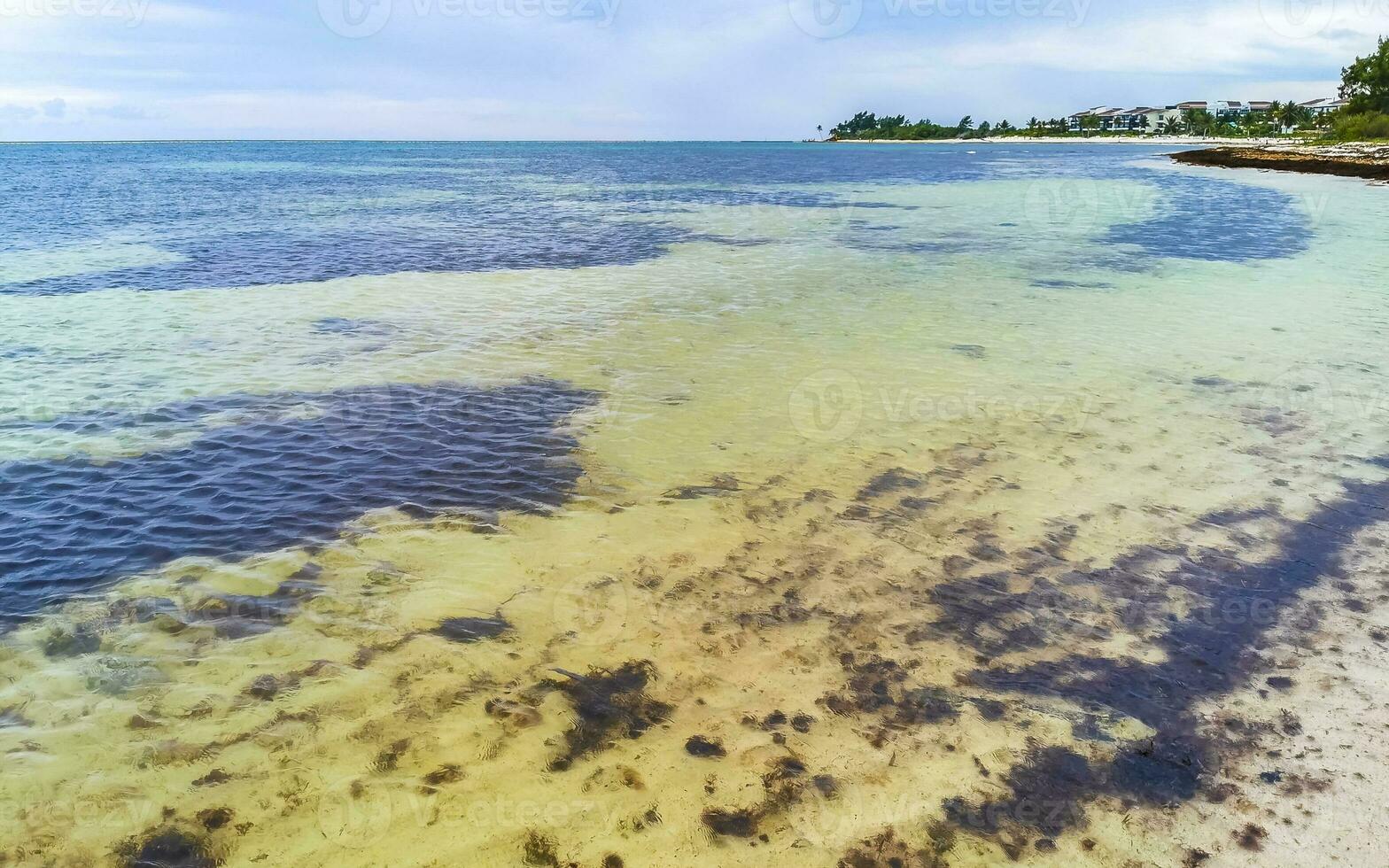 tropisk mexikansk strand klart turkost vatten playa del carmen mexico. foto