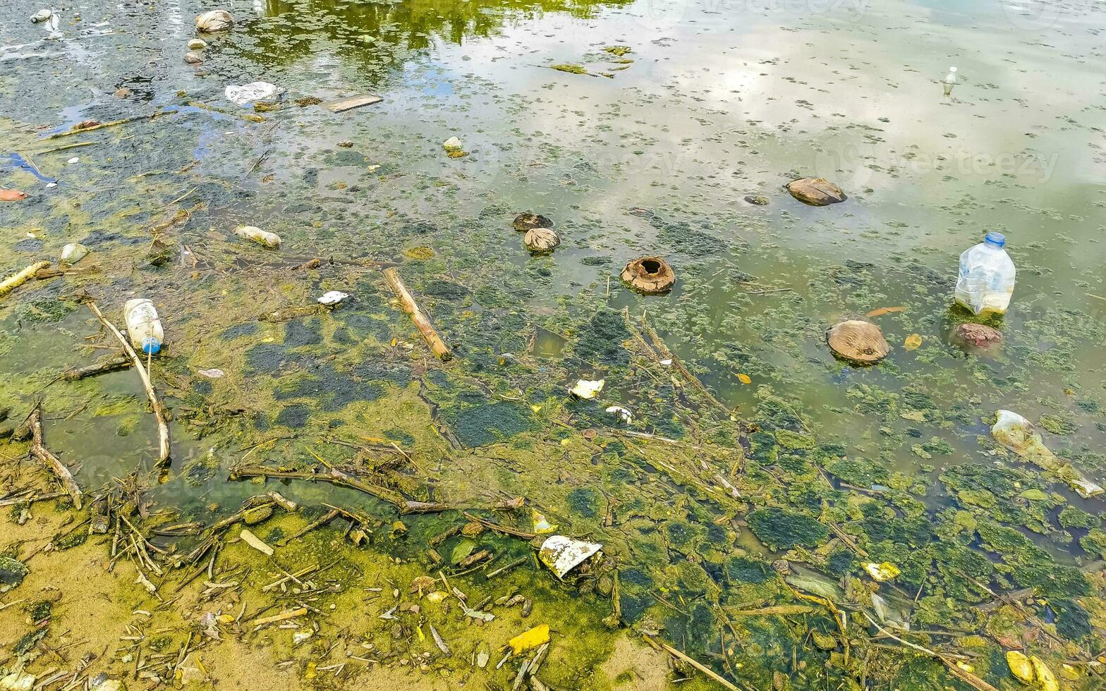 smutsig grön förorenad och sopor flod i puerto escondido Mexiko. foto