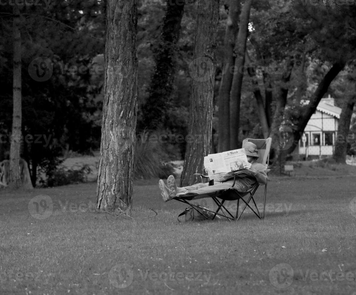 man läsning Nyheter i tidning medan Sammanträde på stol i skog. foto