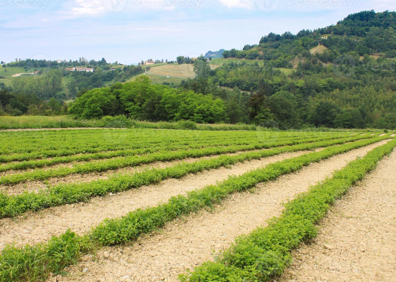 italienska naturlandskap foto