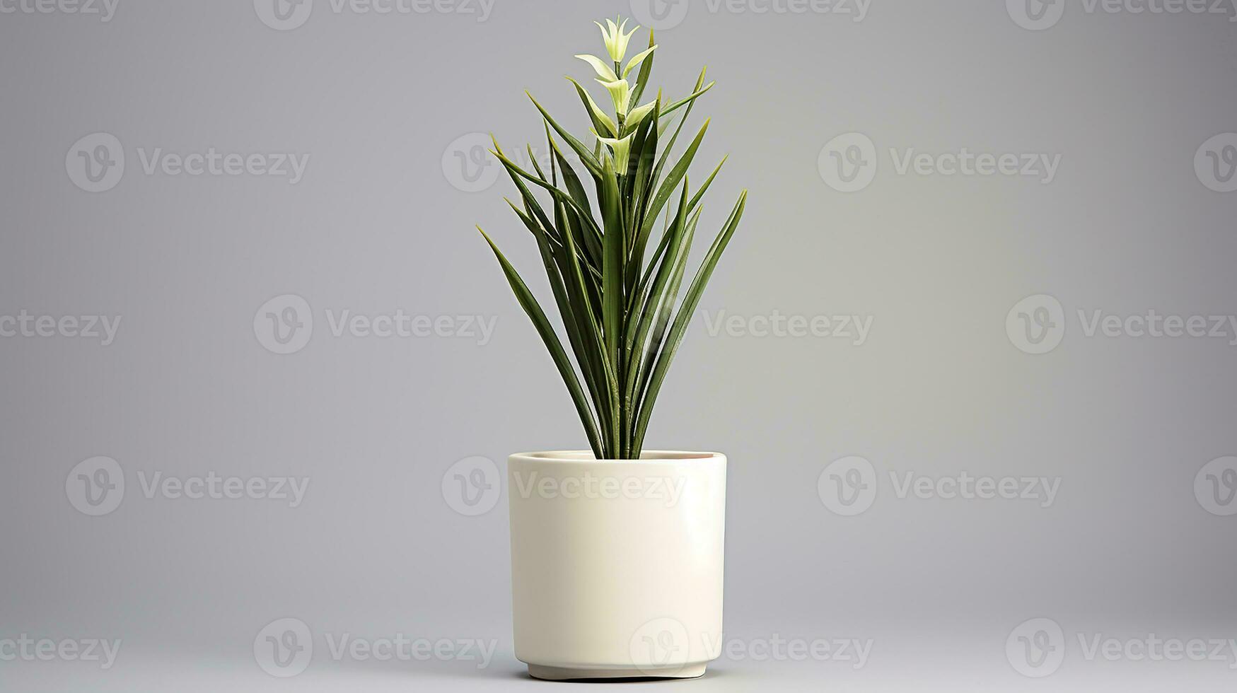 Foto av yucca blomma i pott isolerat på vit bakgrund. generativ ai