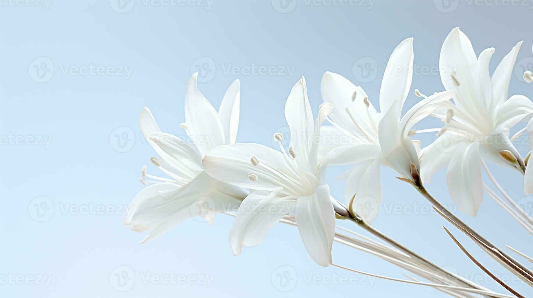 Foto av skön yucca blomma isolerat på vit bakgrund. generativ ai