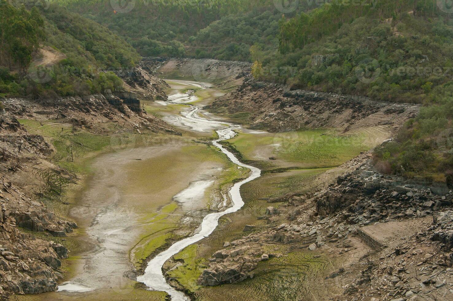de ponsul flod är en förmögen av de tejo flod, i Portugal, och är en mycket stor flod. på detta tid den är helt och hållet torr, utan vatten och med dess säng knäckt på grund av till klimat förändra foto