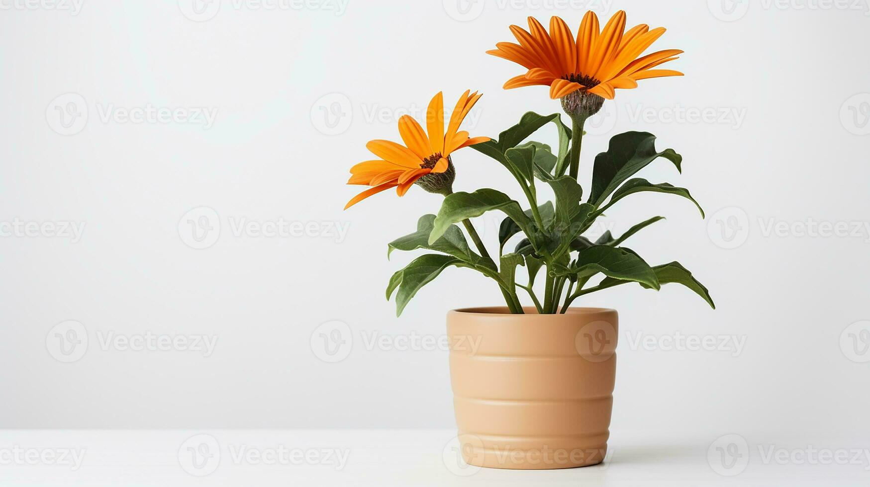 Foto av gazania blomma i pott isolerat på vit bakgrund. generativ ai