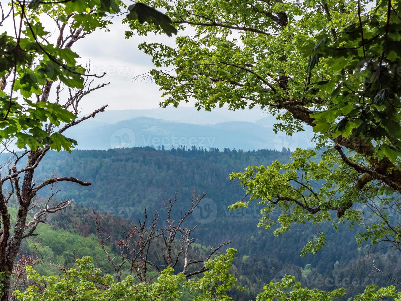 fantastiska landskap av vosges i Frankrike foto