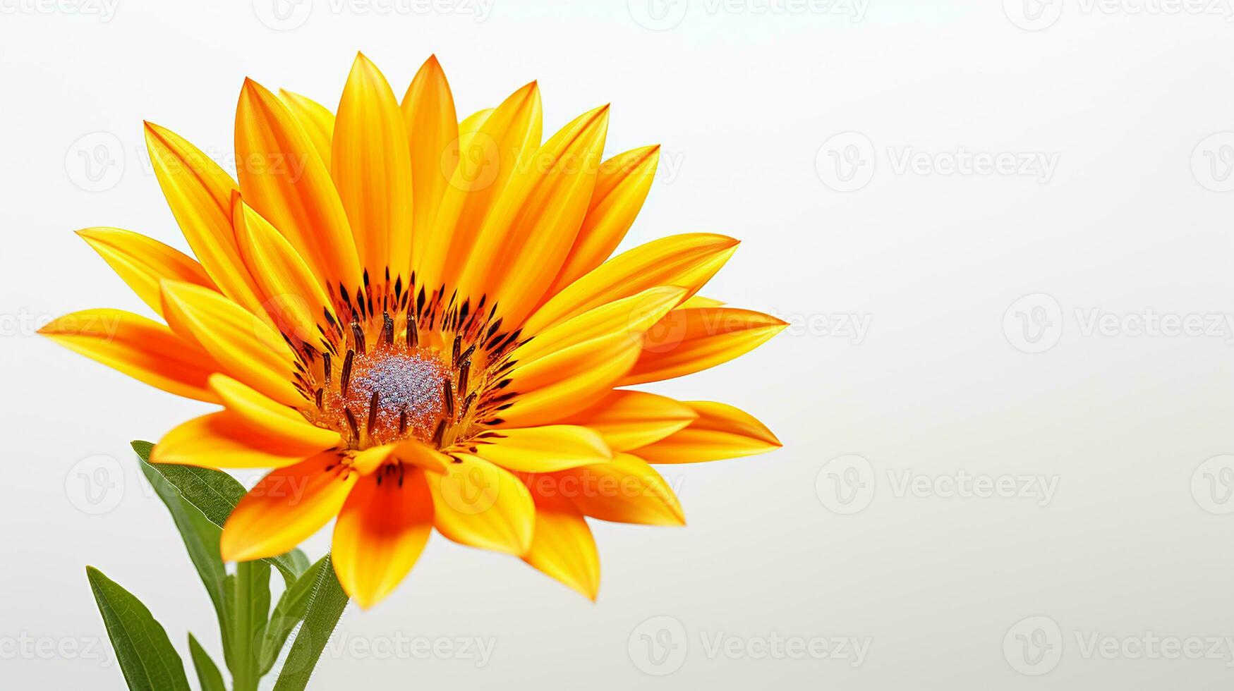 Foto av skön gazania blomma isolerat på vit bakgrund. generativ ai