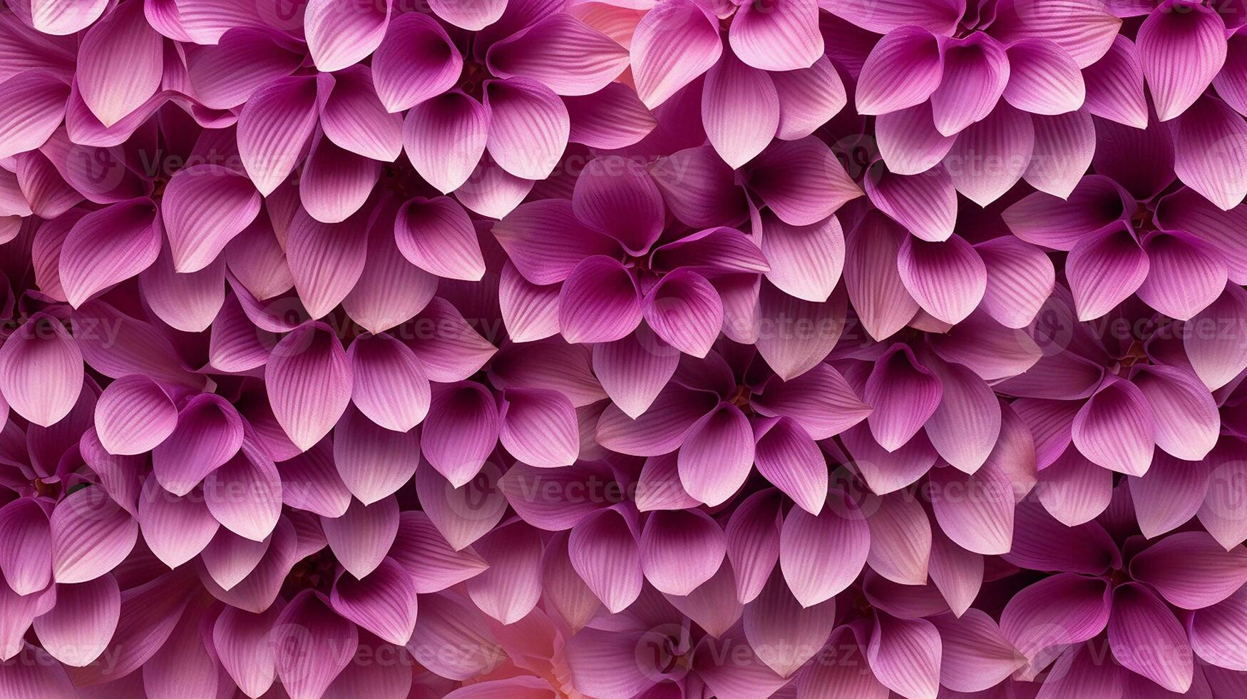 aster blomma mönster bakgrund. aster blomma bakgrund textur. generativ ai foto