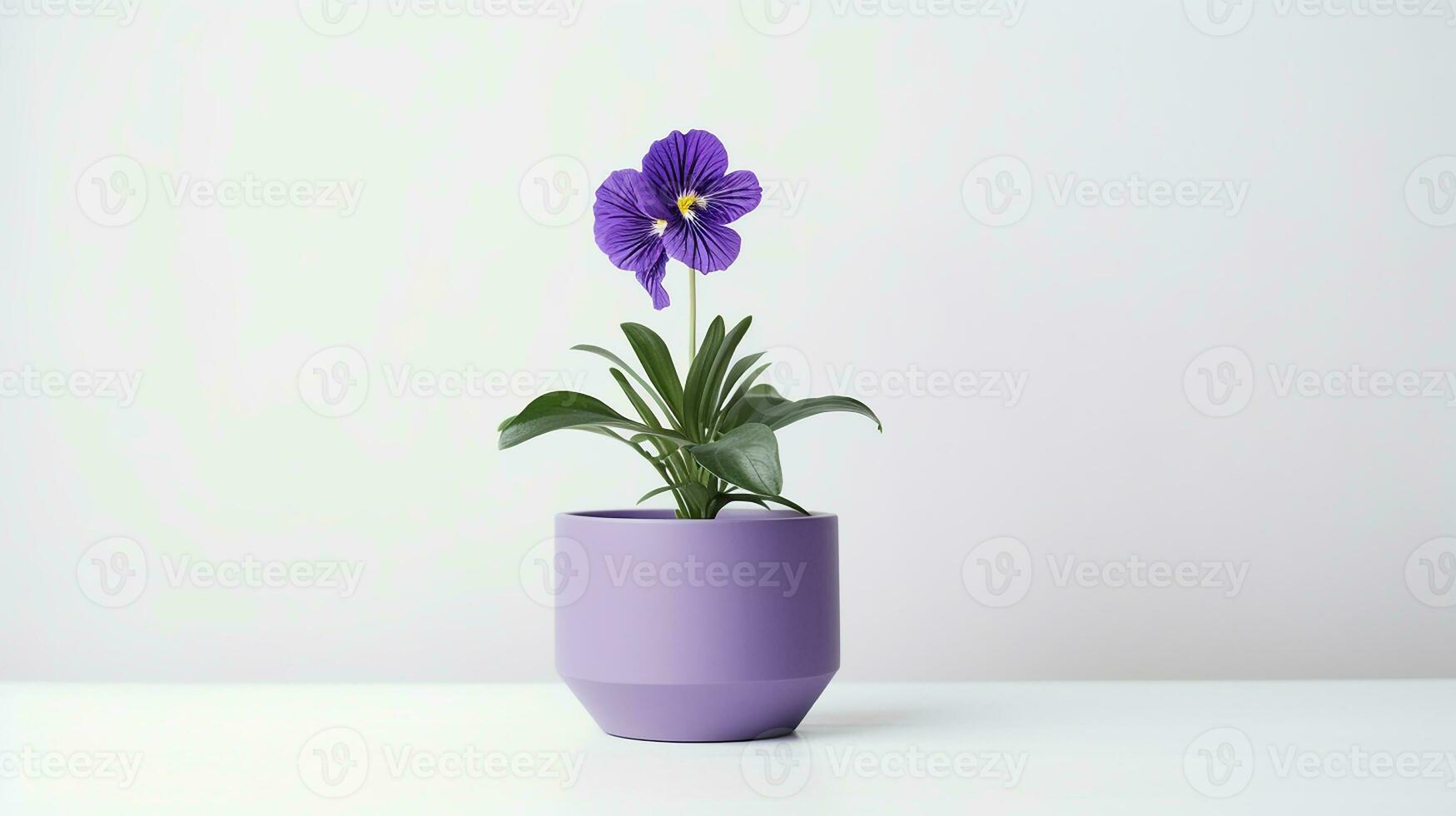 Foto av spiderwort blomma i pott isolerat på vit bakgrund. generativ ai