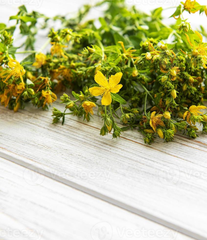 gul saint johns wort blommor på vit trä bakgrund. vild blomma. foto