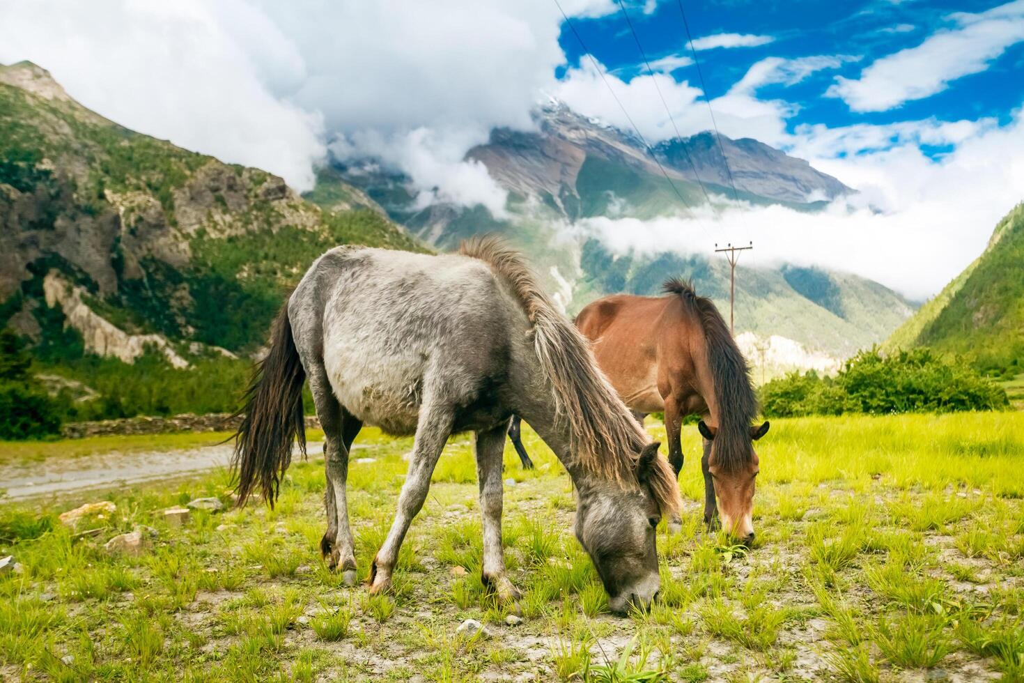 vackra asiatiska landskap foto