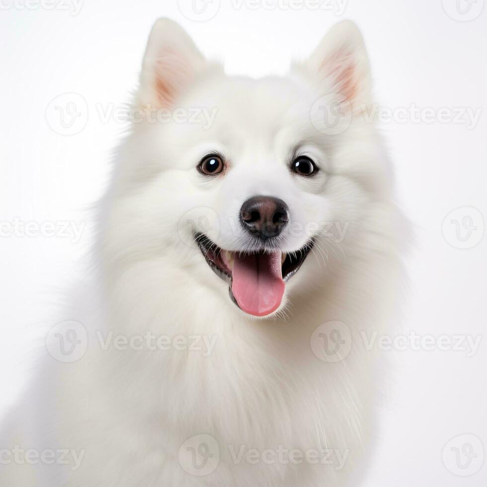 abstrakt hund valp vattenfärg konst porträtt färgrik vit bakgrund ai generativ foto