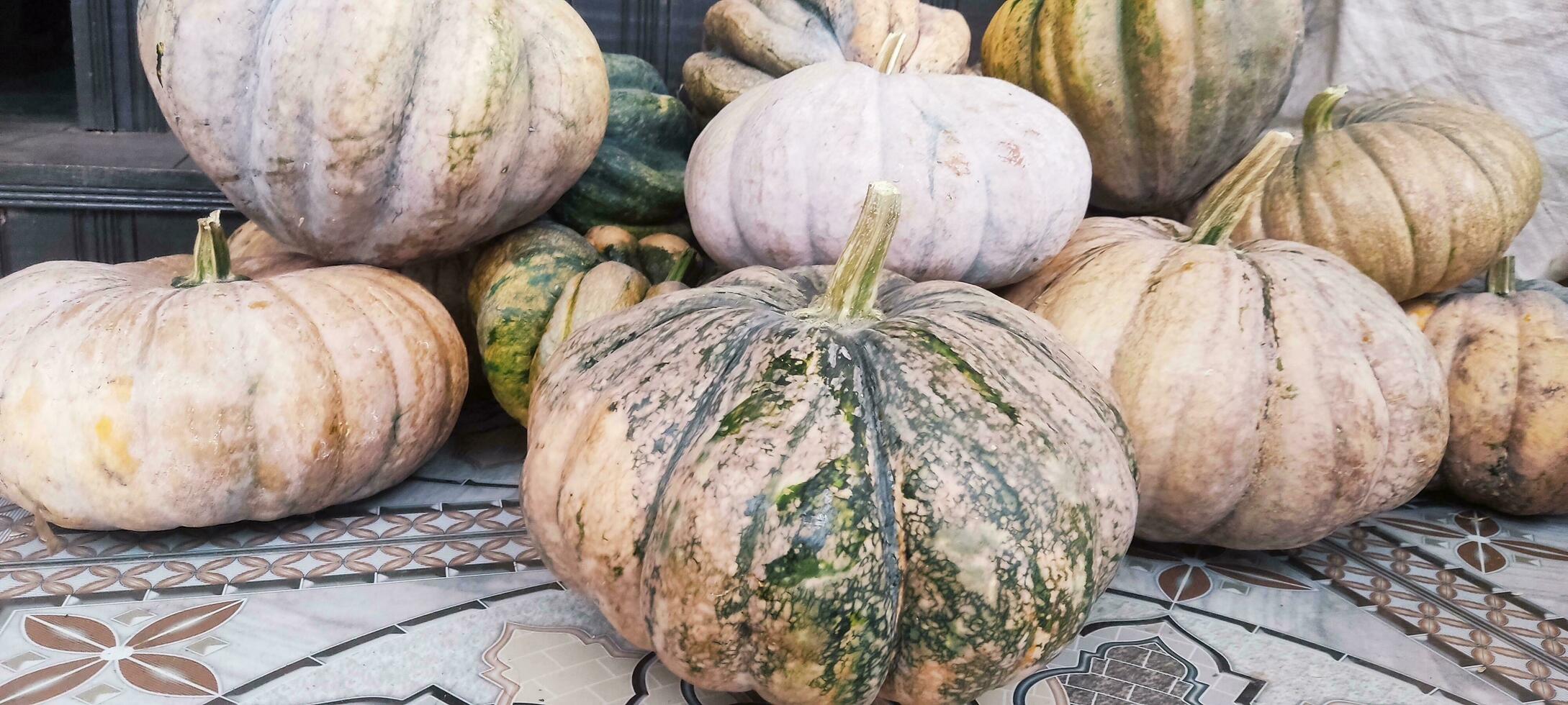 Foto av en verklig pumpa bara tagen från de trädgård